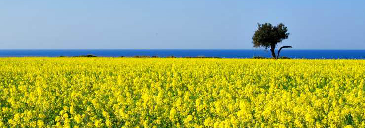 cyprus_weather.jpg